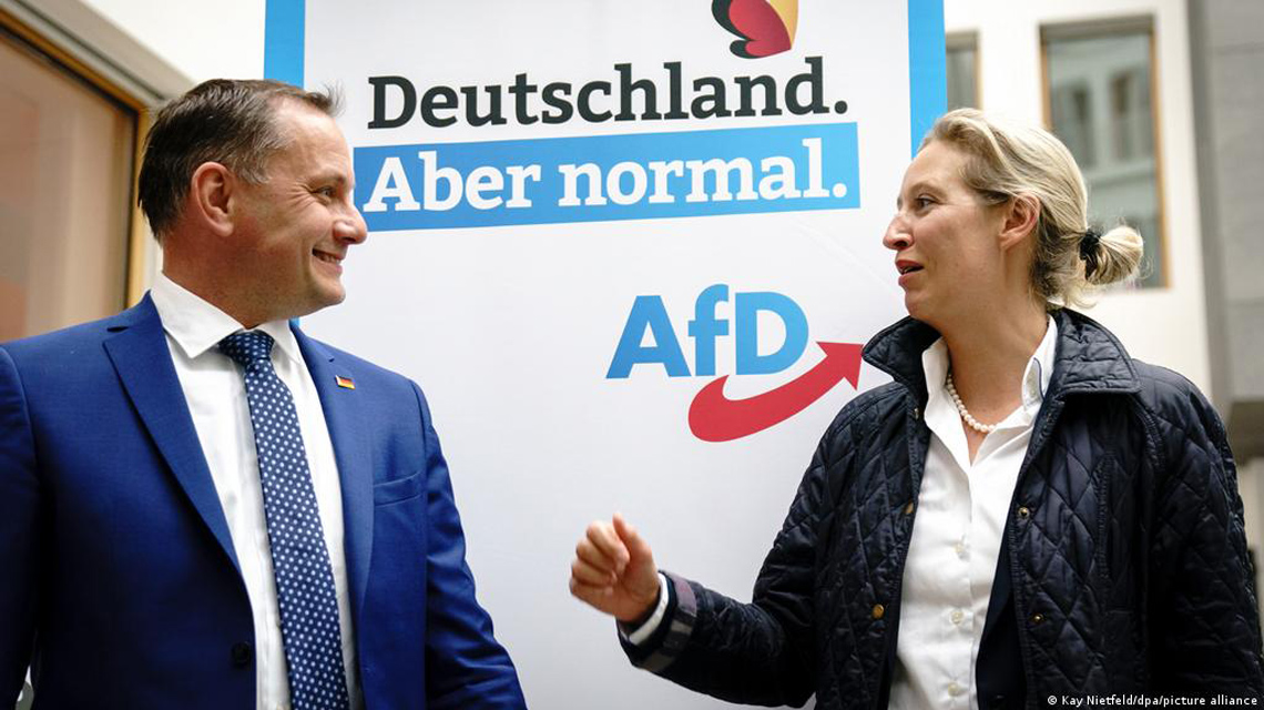 Almanya'da AfD genel seçimlere hazırlanıyor