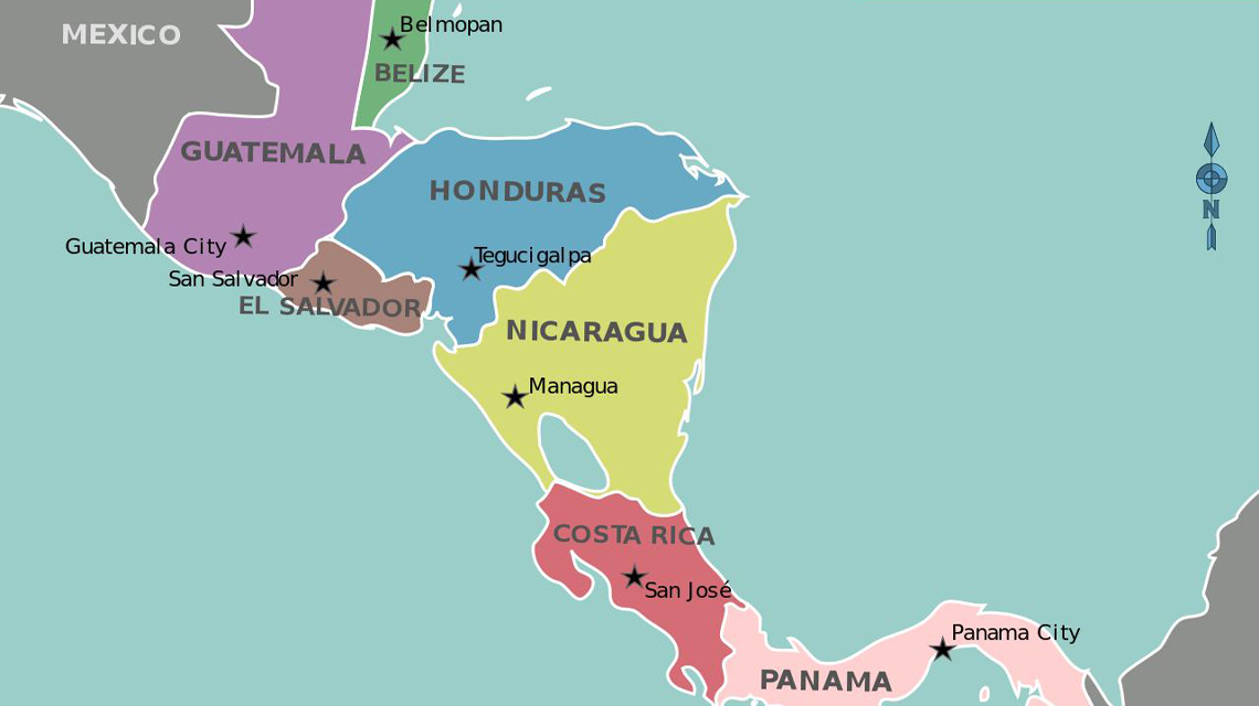 Honduras seçimlerinde solcu aday Castro açık ara önde